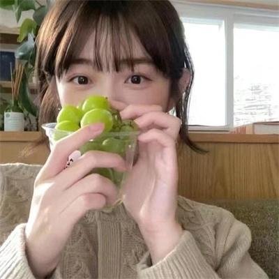 徘徊者 排行封面